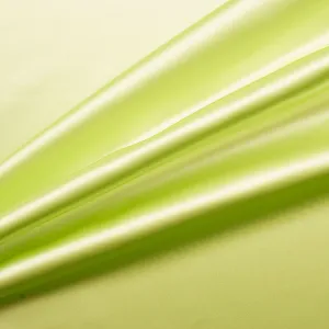 Light Green Silk Duchess Satin